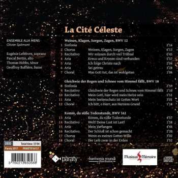 CD Johann Sebastian Bach: La Cite Céleste: Weimar Cantatas 293190