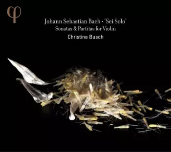 Sei Solo - Sonatas & Partitas For Violin