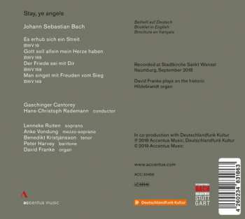 CD Johann Sebastian Bach: Stay, Ye Angels (Cantatas) 175547