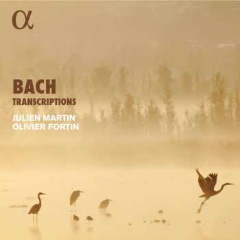 Album Johann Sebastian Bach: Transkriptionen Für Blockflöte & Clavecin