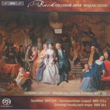 Album Johann Sebastian Bach: Weltliche Kantaten Vol.3