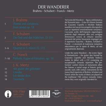 CD Johannes Brahms: Der Wanderer 312138