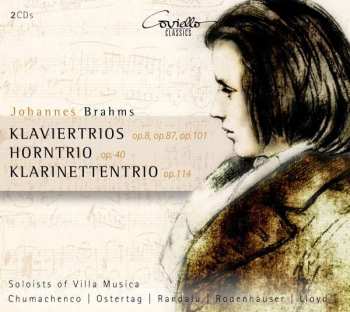 2CD Johannes Brahms: Klaviertrios Nr.1-3 318405