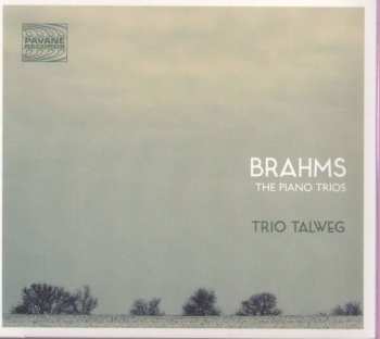 2CD Johannes Brahms: Klaviertrios Nr.1-3 322867
