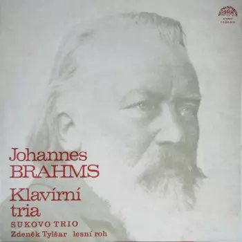 Johannes Brahms: Klavírní Tria