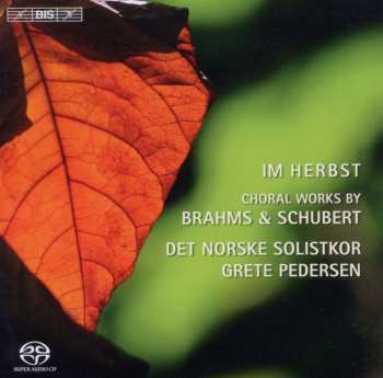 Album Johannes Brahms: Norwegian Soloist's Choir - Im Herbst