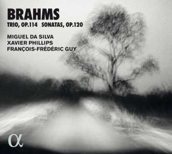 Album Johannes Brahms: Sonaten Für Viola & Klavier Op.120 Nr.1 & 2