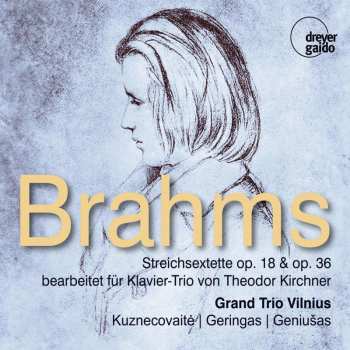 CD Johannes Brahms: Streichsextette Nr.1 & 2 (bearbeitet Für Klaviertrio Von Theodor Kirchner) 513126