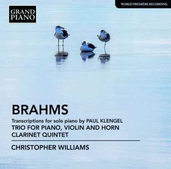 Johannes Brahms: Transcriptions For Solo Piano By Paul Klengel; Trio For Violin, Horn And Piano; Clarinet Quintet