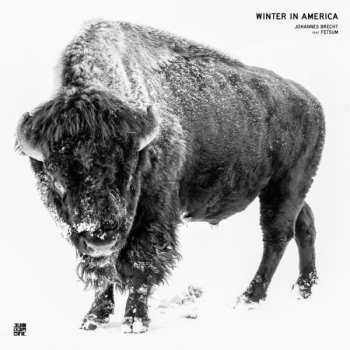 Album Johannes Brecht: Winter In America 