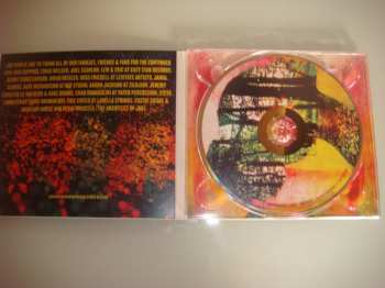 CD John Brown's Body: Fireflies 98367