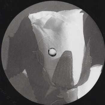 LP John Galm: Sky Of No Stars