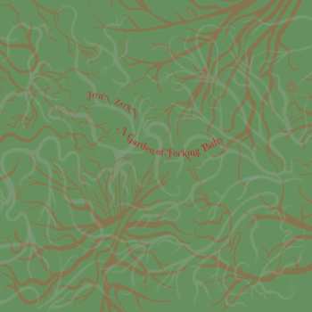 CD John Zorn: A Garden Of Forking Paths 477257