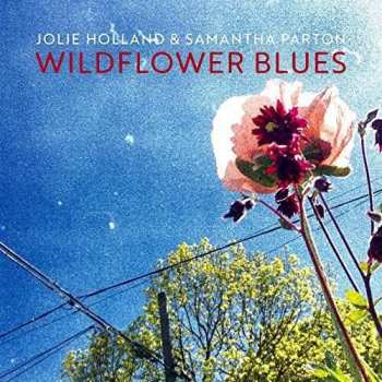 Album Jolie Holland: Wildflower Blues