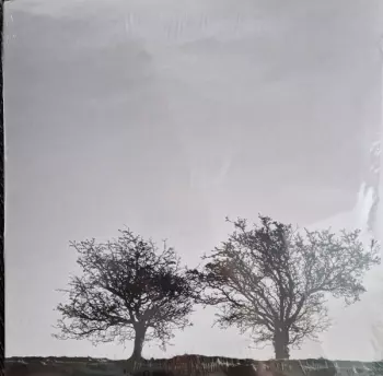 A Heightened Sense Of Everything