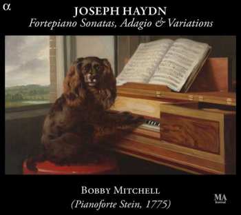 Album Joseph Haydn: Fortepiano Sonatas, Adagio & Variations