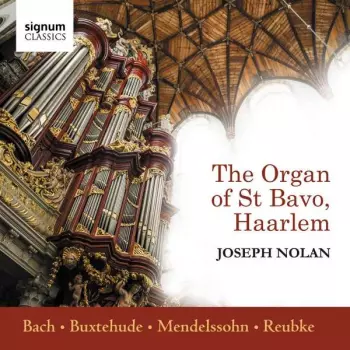The Organ Of St. Bavo, Haarlem