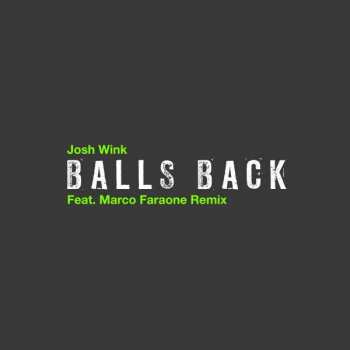 Josh Wink: Balls Back