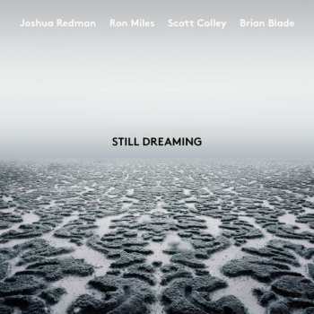 Album Joshua Redman: Still Dreaming 