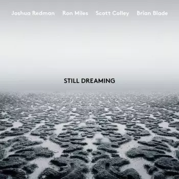 Joshua Redman: Still Dreaming 