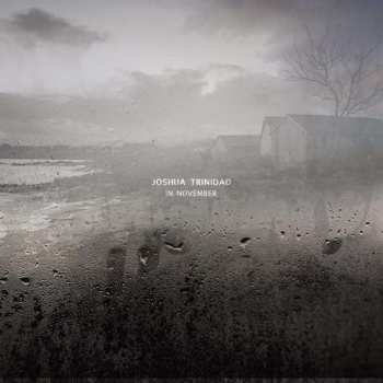 Album Joshua Trinidad: In November