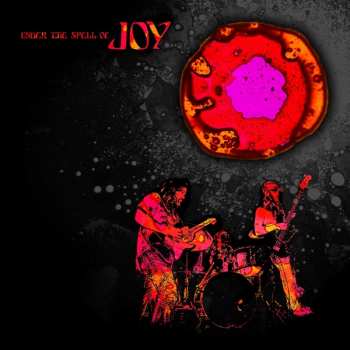 CD Joy: Under The Spell Of Joy 308508