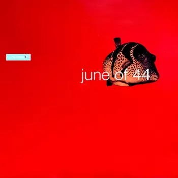 June Of 44: In The Fishtank