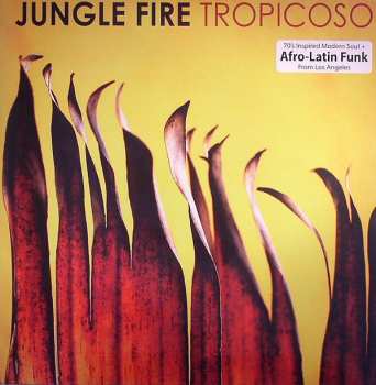 Album Jungle Fire: Tropicoso
