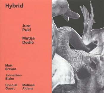 Album Jure Pukl: Hybrid