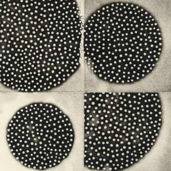 Album K. Leimer: Resting Forms