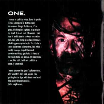 CD Karlheinz Wallner: Voices LTD | DIGI