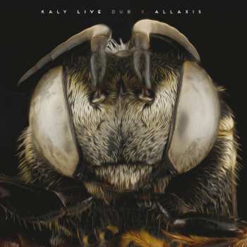 CD Kaly Live Dub: Allaxis 258518