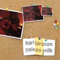 CD Karl Larsson: Pale As Milk 240565