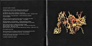 CD Karnataka: Delicate Flame Of Desire