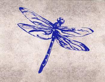 2CD Kasey Chambers: Dragonfly