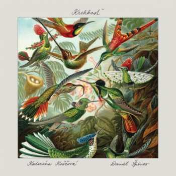 Album Katarína Koščová: Krehkosť