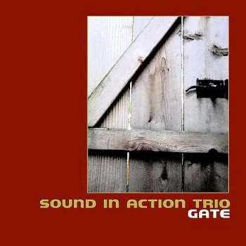 Album Ken Vandermark's Sound In Action Trio: Gate