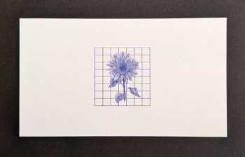 LP Khotin: Release Spirit CLR | LTD