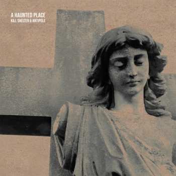 LP Kill Shelter: A Haunted Place LTD | CLR 416878