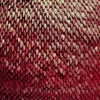 Kill The Vultures: Carnelian