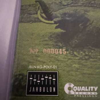LP King Gizzard And The Lizard Wizard: Polygondwanaland CLR | LTD | NUM
