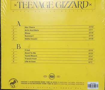 LP King Gizzard And The Lizard Wizard: Teenage Gizzard 87296