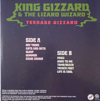 LP King Gizzard And The Lizard Wizard: Teenage Gizzard CLR 439504