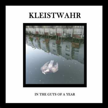 Album Kleistwahr: In The Guts Of A Year