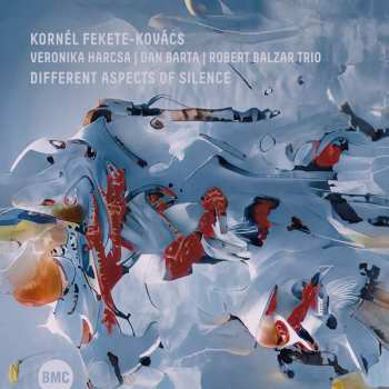 Album Fekete-Kovács Kornél: Different Aspects of Silence