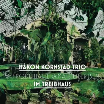 Kornstad Trio: Im Treibhaus