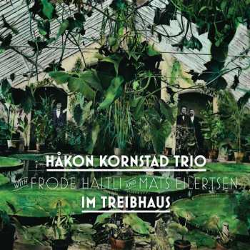 CD Kornstad Trio: Im Treibhaus 312590