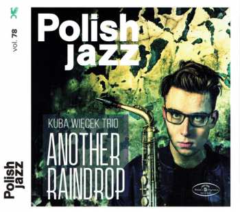 Album Kuba Więcek Trio: Another Raindrop