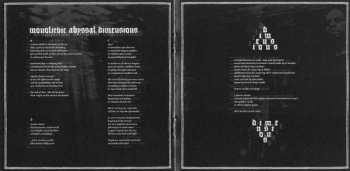 CD Lantern: Dimensions DIGI 195433