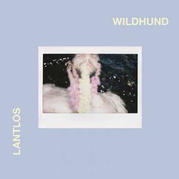 CD Lantlôs: Wildhund 120604